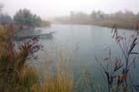 fall-fog